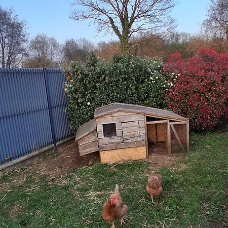 Vakantiehuis Maison 170m2 Entre Et Campagne